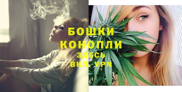 дурь Арсеньев