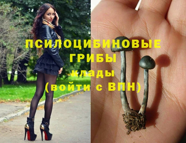Альфа ПВП Баксан