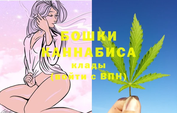 дурь Арсеньев